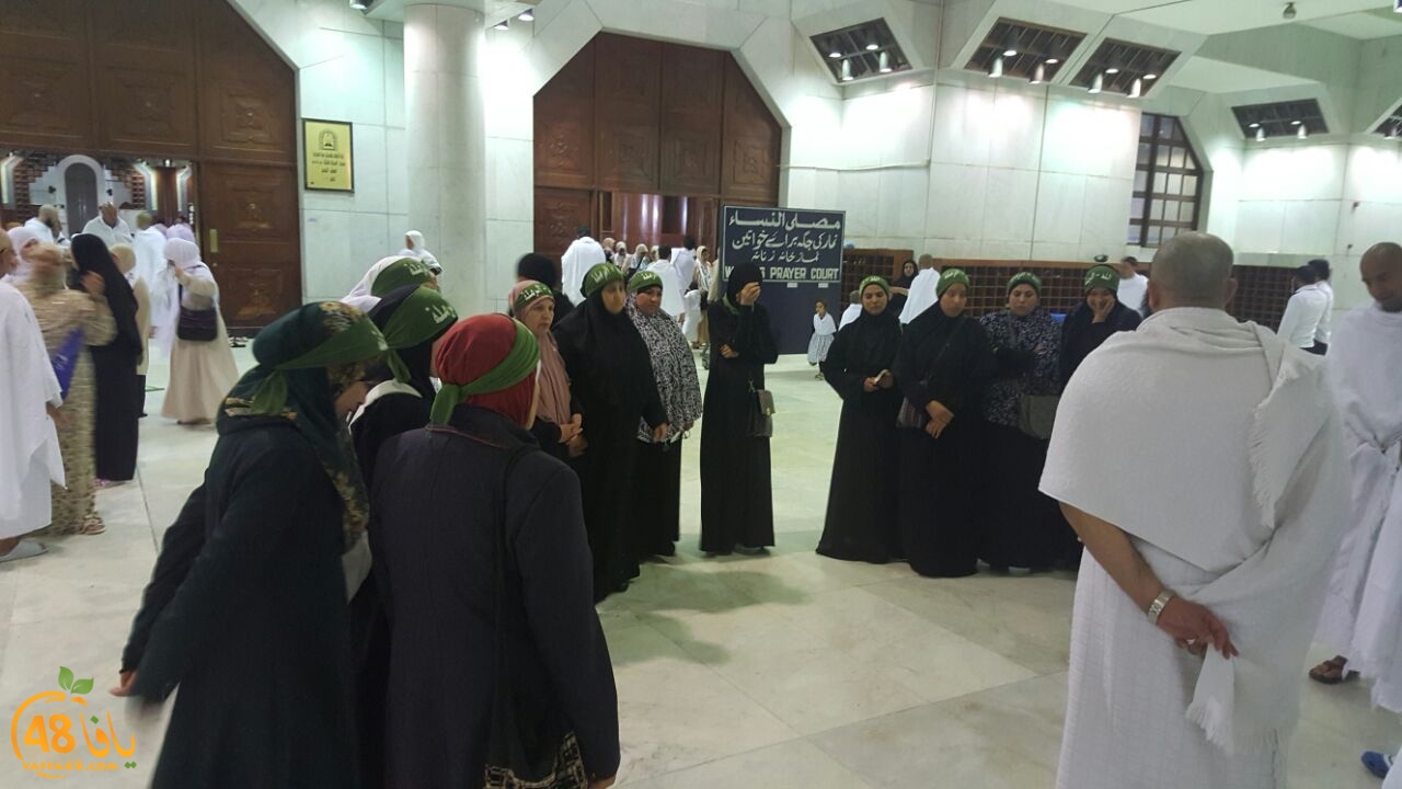 mo3tmrero lud  (5).jpg